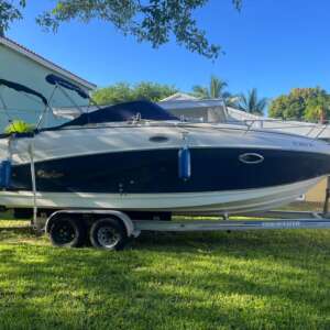2005 - Rinker - Fiesta Vee 250