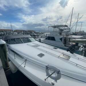 1990 - Sea Ray - Sundancer 420