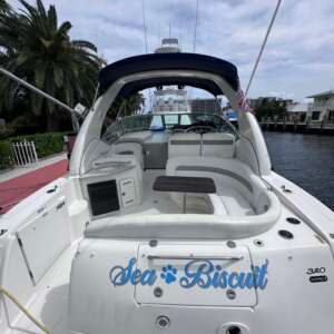 2007 - Sea Ray - 320 Sundancer