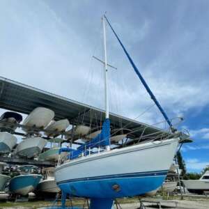 1991 - Catalina - M34