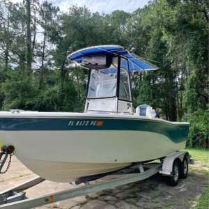 2011 - Sea Fox - 206CC Pro Series
