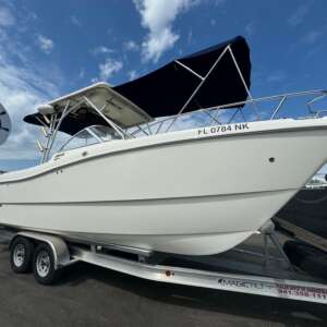 2007 - World Cat - 250 DC