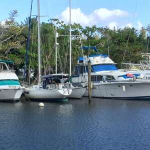 1983 - Bertram - 46 Motor Yacht