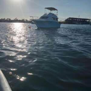 1991 - Luhrs - 3400